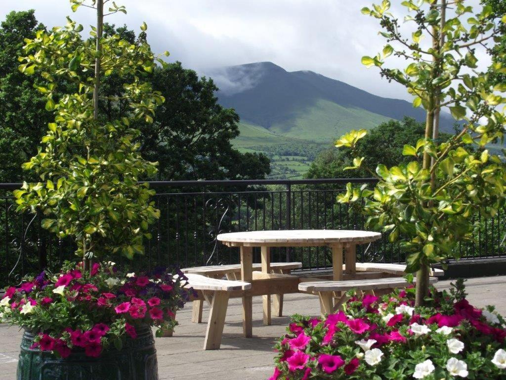 Aherlow House Hotel & Lodges Ngoại thất bức ảnh